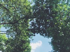 -杭州城北体育公园