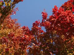 -清华大学艺术博物馆