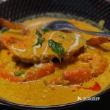 星叶—宁波泰料的YYDS
