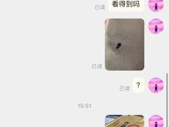 -老佛爷铜炉蛙锅(东门老街店)