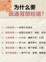 点击看大图 -玛莲朵·海菲秀冰珀科