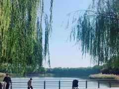 -大兴滨河森林公园