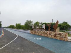 -扬子江公园