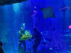 -沈阳海洋探索中心