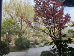 -春色如许·茶食餐厅(桃李春风店)