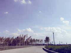 -哈尔滨大剧院