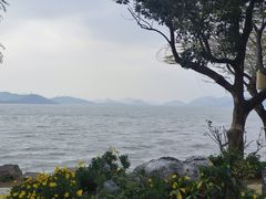 -东钱湖旅游度假区