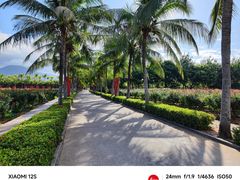 -亚龙湾国际玫瑰谷