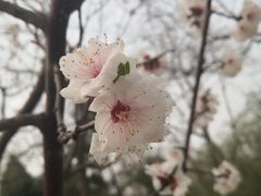 -仙踪林(北展店)
