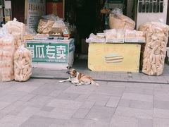 -三林塘老街