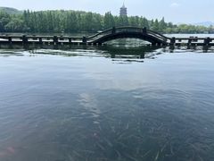 -杭州西湖柳莺里酒店·闻莺厅