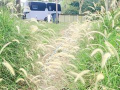 -星乐度·露营小镇