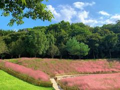 -牛岗山公园