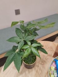 -归位瑜伽＆普拉提馆