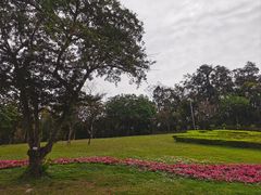 -广州市白云山风景名胜区