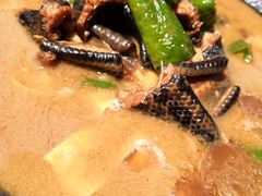 -不炭白烧烤(成都首店)