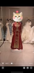 -SATIN COUTURE瑟庭婚纱礼服馆
