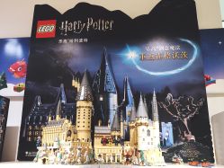 -乐高授权专卖店(朝阳大悦城店)