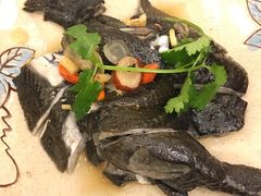 -沙龙酒家