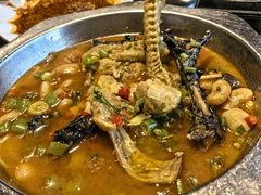 -老号尤兔头(幸福店)