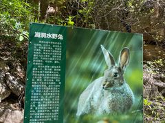 -湖洞水自然风景区