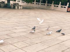 -玉佛苑