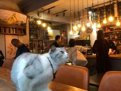 -LELECHA乐乐茶(新街口大洋店)