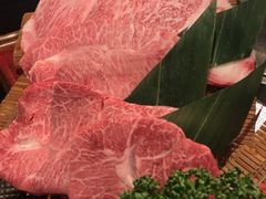 -俺的焼肉(銀座9丁目店)