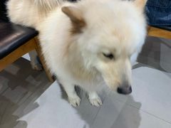 -肆兮眼镜·蔡司·徕卡战略合作店(大坪店)