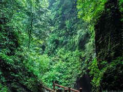 -青城山