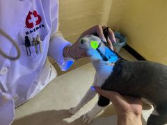 -义乌市派和宠物医院(贝村诊所)