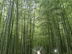 -池州市平天湖风景区