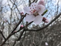 -贡湖湾湿地公园
