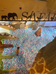 -卡通尼·Safari非洲探索乐园·生日会(金桥国际商业广场店)
