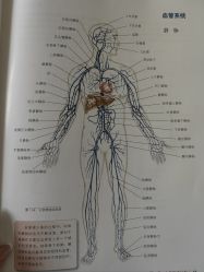 -AN普拉提女子健身工作室