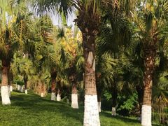 -两河城市森林公园