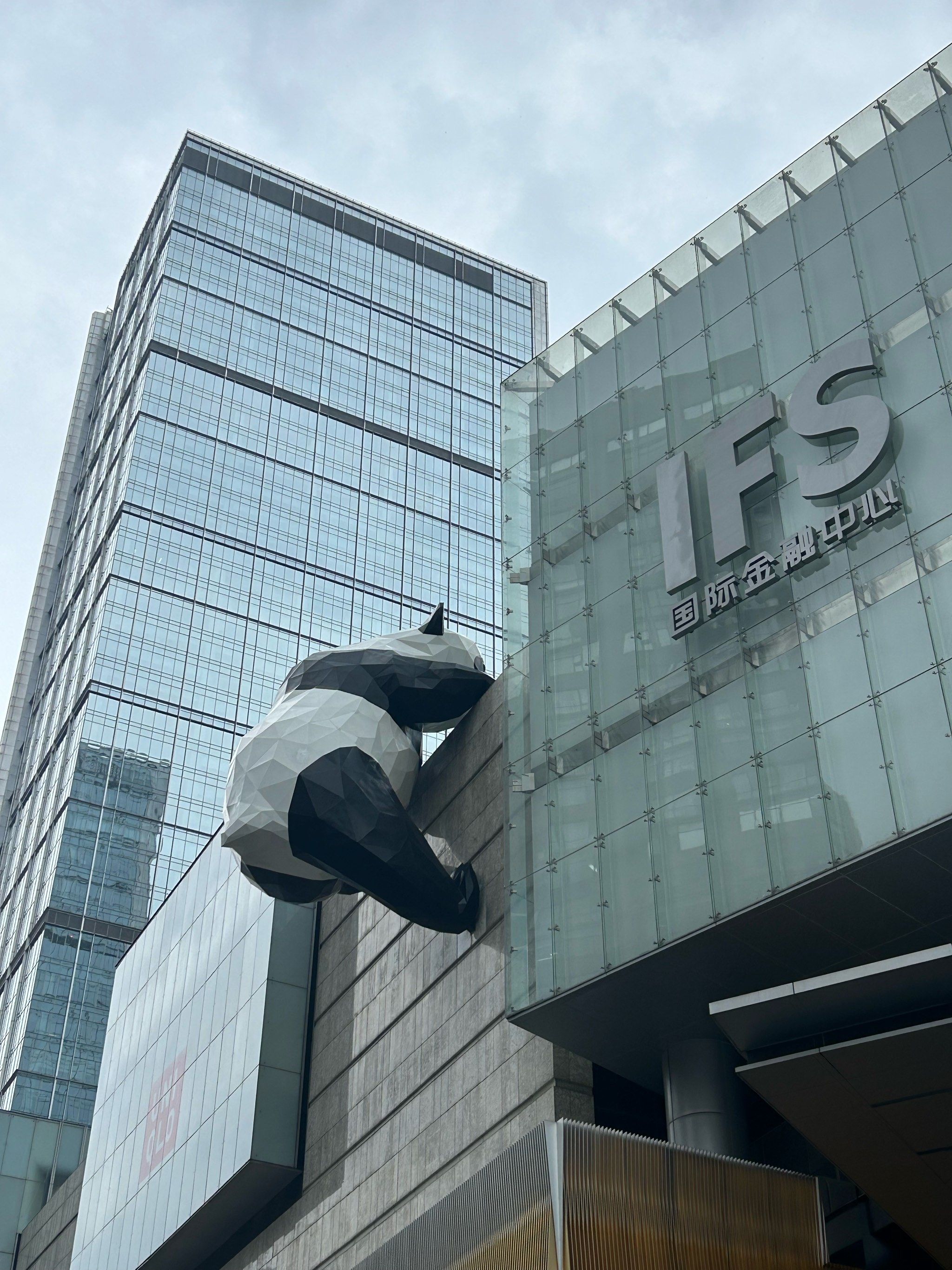 大熊猫宝宝的日常萌照