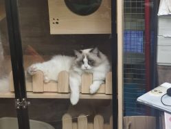 -憨大叔儿童摄影 90店连锁(房山城关店)