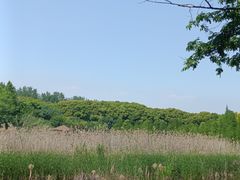 -同里国家湿地公园