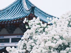 -湖南烈士公园(芙蓉区)