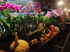 -自然餐厅(Phuket)