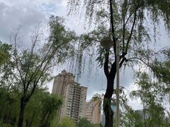 -新虹桥中心花园