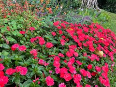 -人民公园(罗湖区)