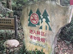 -上海佘山国家森林公园天马山园