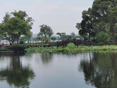 -无锡蠡湖国家湿地公园-蠡园