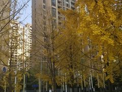 -仁恒滨河湾
