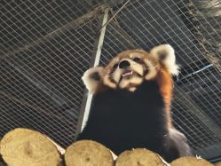 -Zoolung Zoolung动物主题公园(海信广场店)