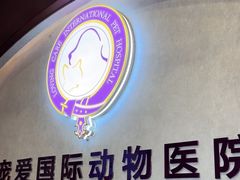 -宠爱国际动物医院·疑难骨科·心肾内科·皮肤科(太阳宫店)