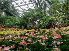 -南山植物园