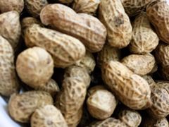 -小李子油焖大虾向阳总店